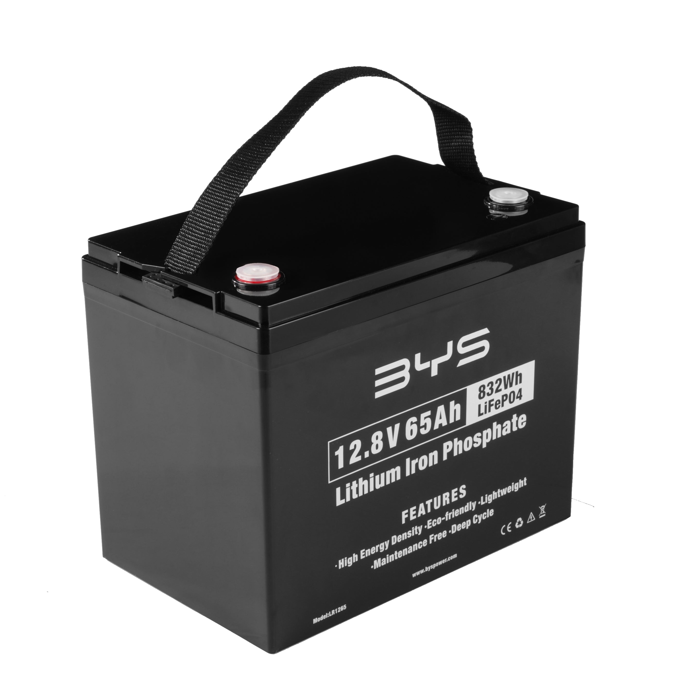 12.8V 65Ah Lithium Iron Phosphate Battery LR1265