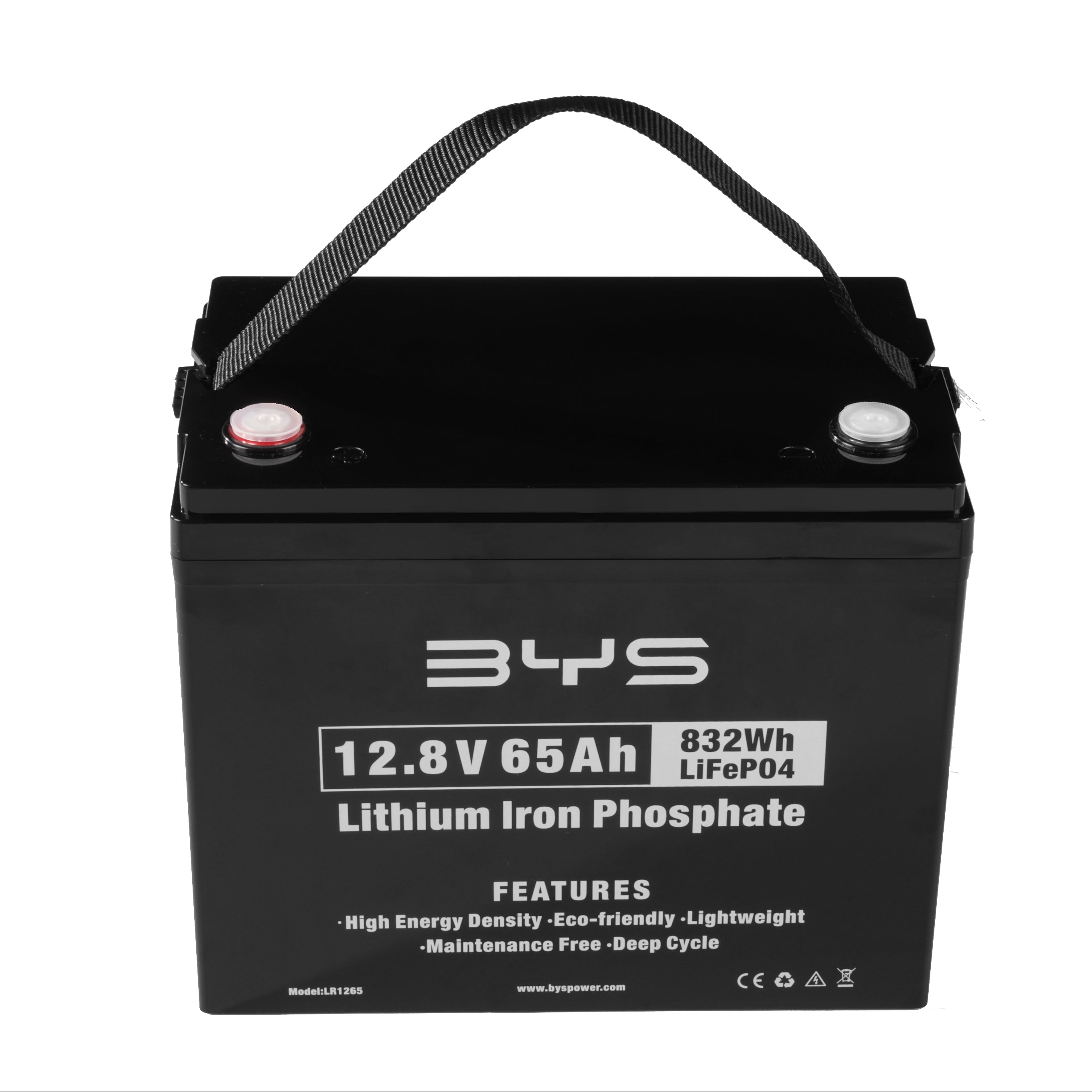 12.8V 65Ah Lithium Iron Phosphate Battery LR1265