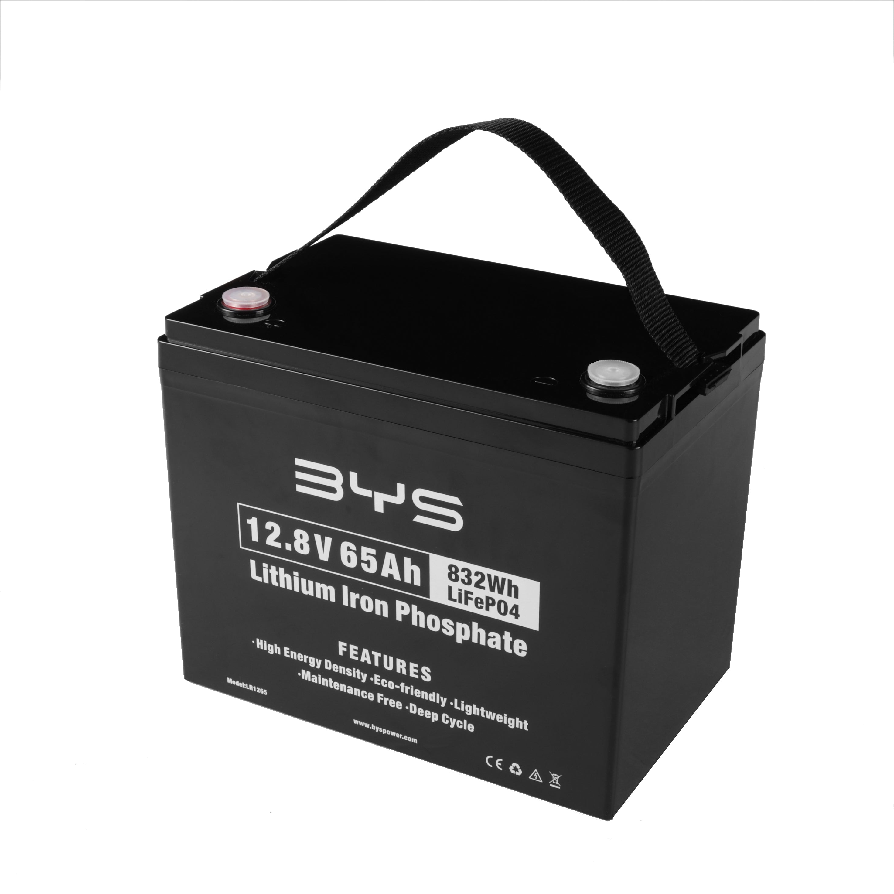 12.8V 65Ah Lithium Iron Phosphate Battery LR1265